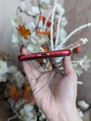 Apple iPhone 11 Red Smartphone 64GB PTA Approved Used