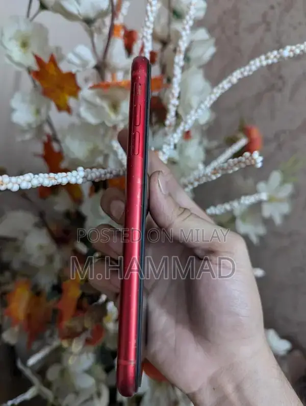 Apple iPhone 11 Red Smartphone 64GB PTA Approved Used