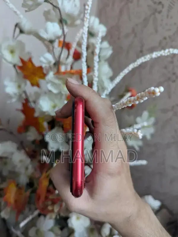 Apple iPhone 11 Red Smartphone 64GB PTA Approved Used