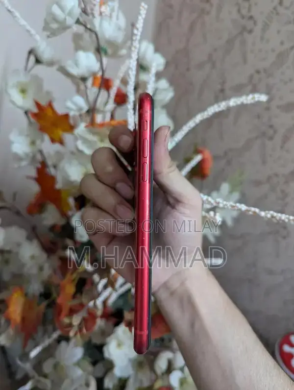 Apple iPhone 11 Red Smartphone 64GB PTA Approved Used