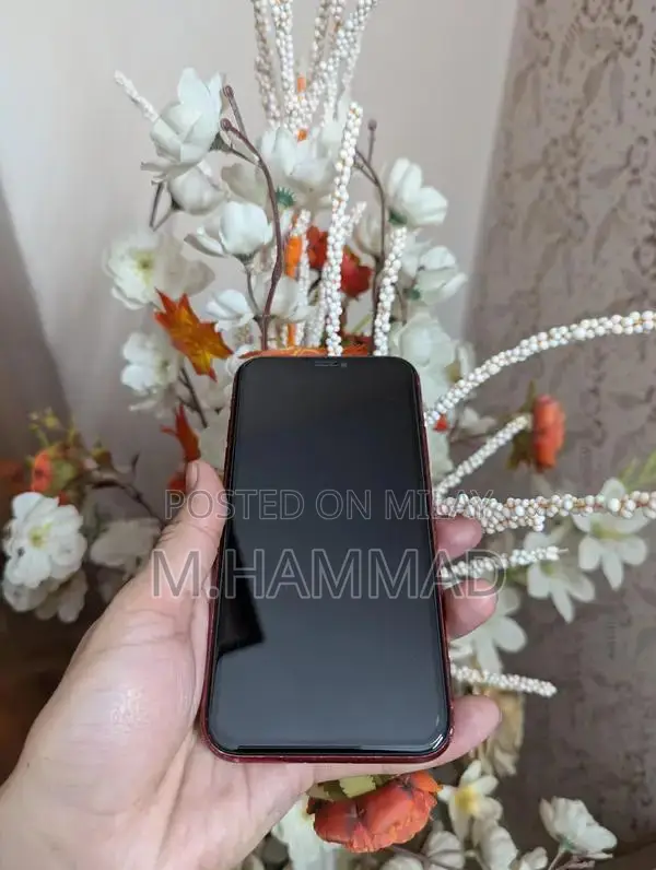 Apple iPhone 11 Red Smartphone 64GB PTA Approved Used