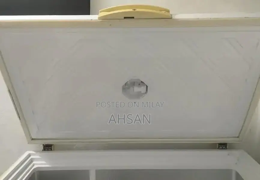 Waves Freezer - Excellent Condition