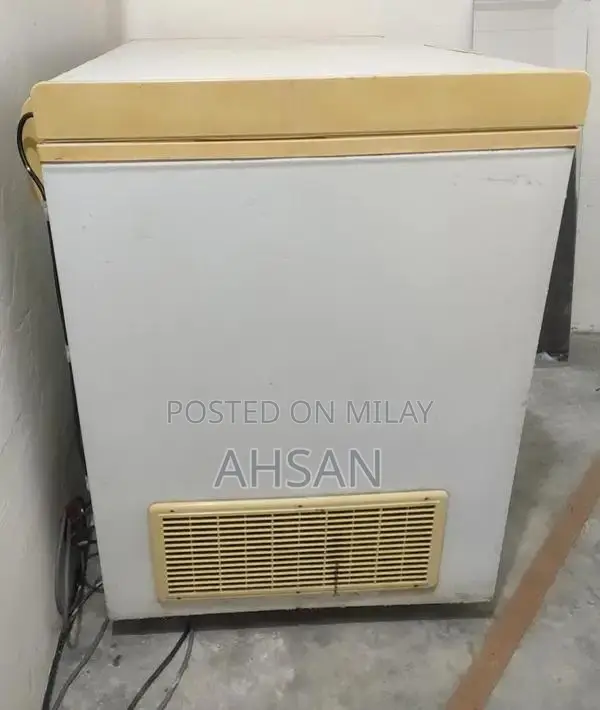 Waves Freezer - Excellent Condition