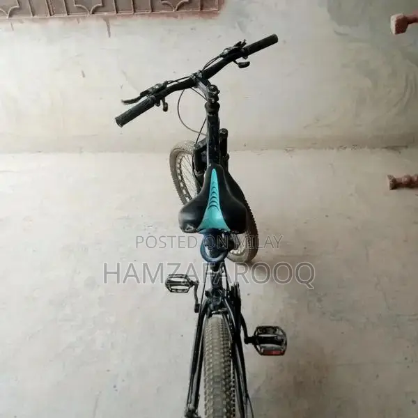 Morgan Mountain Bicycle - 8/10 Condition with Disk Brake