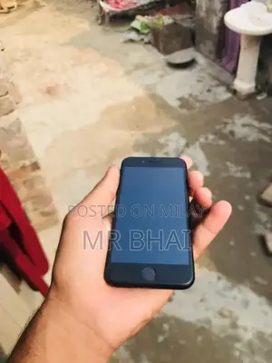 Apple iPhone SE 2020 Budget-Friendly Smartphone