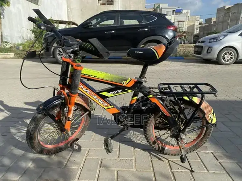 Imported Road Bicycle - Excellent Condition, Minimal Use