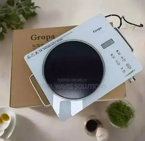 Infrared Electric Cooker with Waterproof Glass Top
