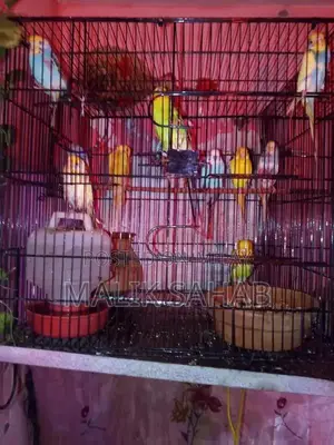 Photo - Whatsapp Contact Jar 12 Pairs of Colorful Contacts