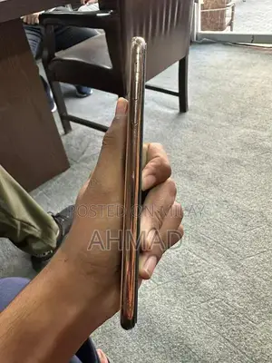 Apple iPhone XS Max 256GB Pristine Condition Unlocked Smartphone