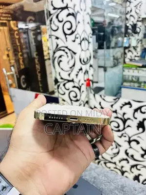 256GB Pro Max Smartphone Unlocked Premium Device