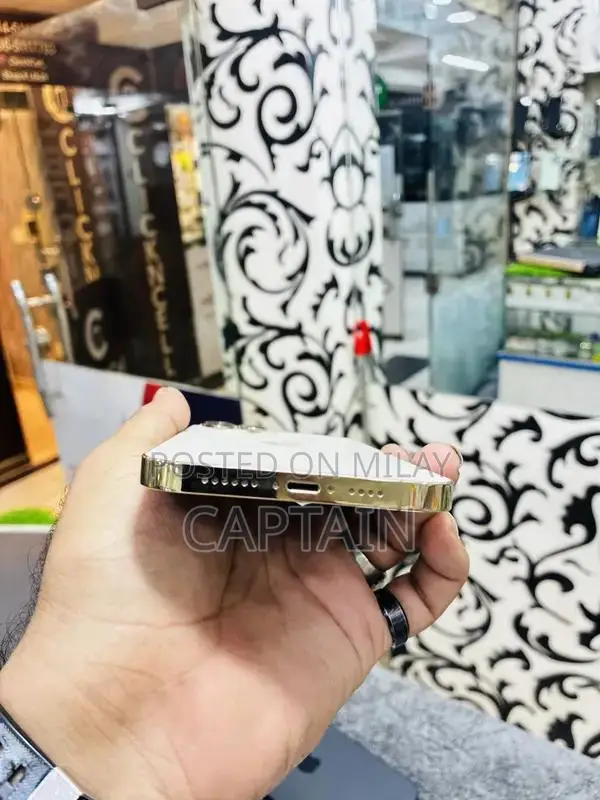 256GB Pro Max Smartphone Unlocked Premium Device