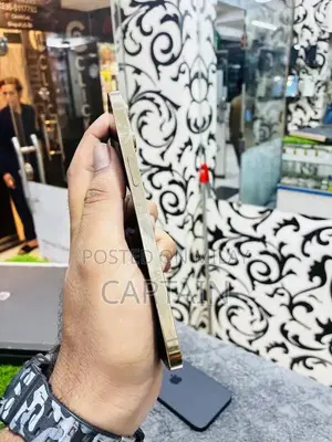 256GB Pro Max Smartphone Unlocked Premium Device