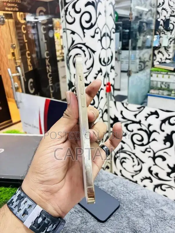 256GB Pro Max Smartphone Unlocked Premium Device