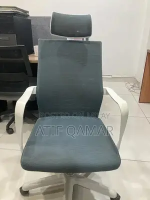 Adjustable Ergonomic Office Chair with Movable Headrest