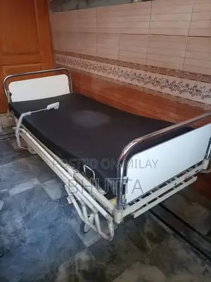 Photo - German Medical Patient Bed with Remote Control