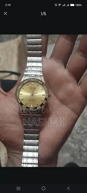 Citizen Quartz Men's Japanese Analog Watch