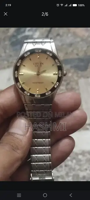 Citizen Quartz Men's Japanese Analog Watch