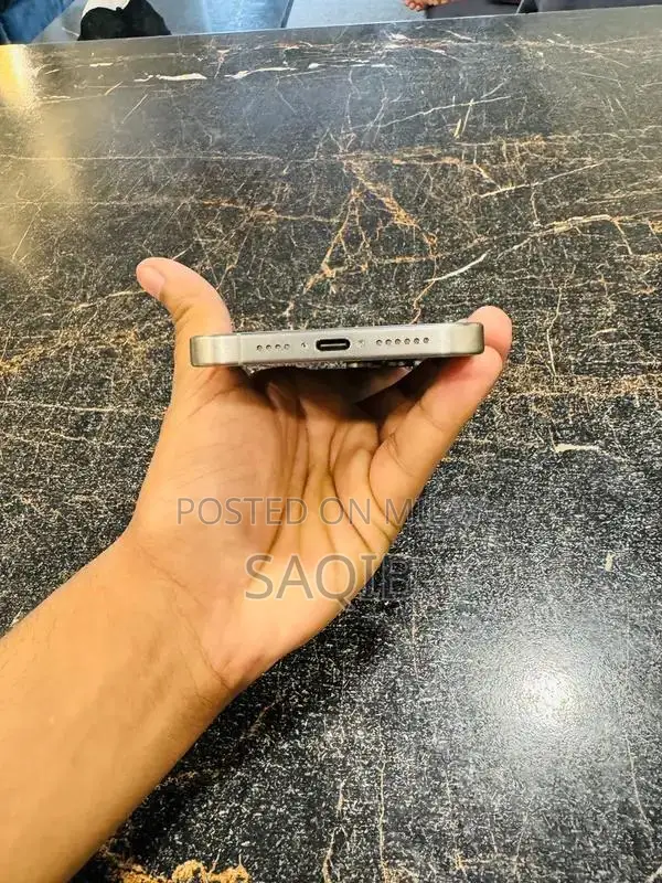 Pro Max Smartphone 256GB Storage High-End Mobile Device