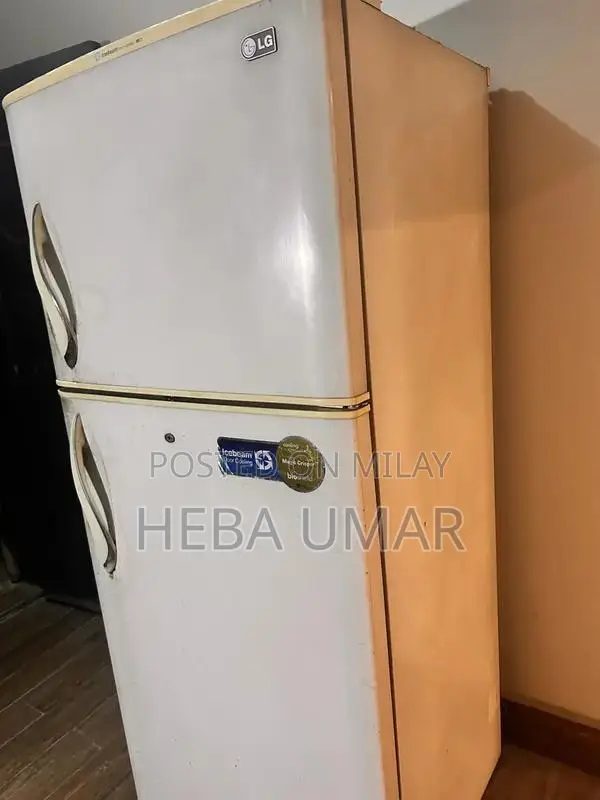 Large LG Refrigerator - Spacious Kitchen Appliance