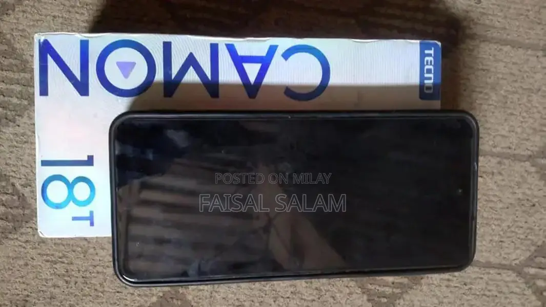 Touchscreen Mobile Device with Panel Display