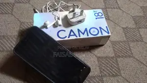 Touchscreen Mobile Device with Panel Display