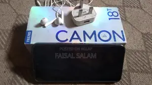 Touchscreen Mobile Device with Panel Display