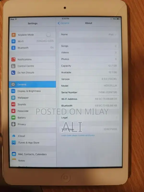 Apple iPad Mini 2 Tablet with Screen Issue
