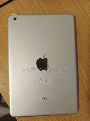 Apple iPad Mini 2 Tablet with Screen Issue
