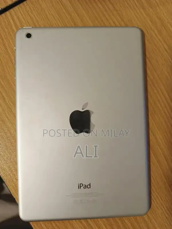 Apple iPad Mini 2 Tablet with Screen Issue