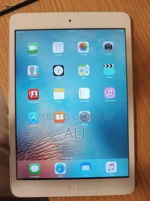 Apple iPad Mini 2 Tablet with Screen Issue