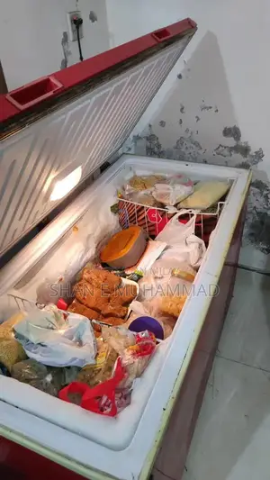 Large 12 Cubic Foot Commercial Refrigerator Freezer