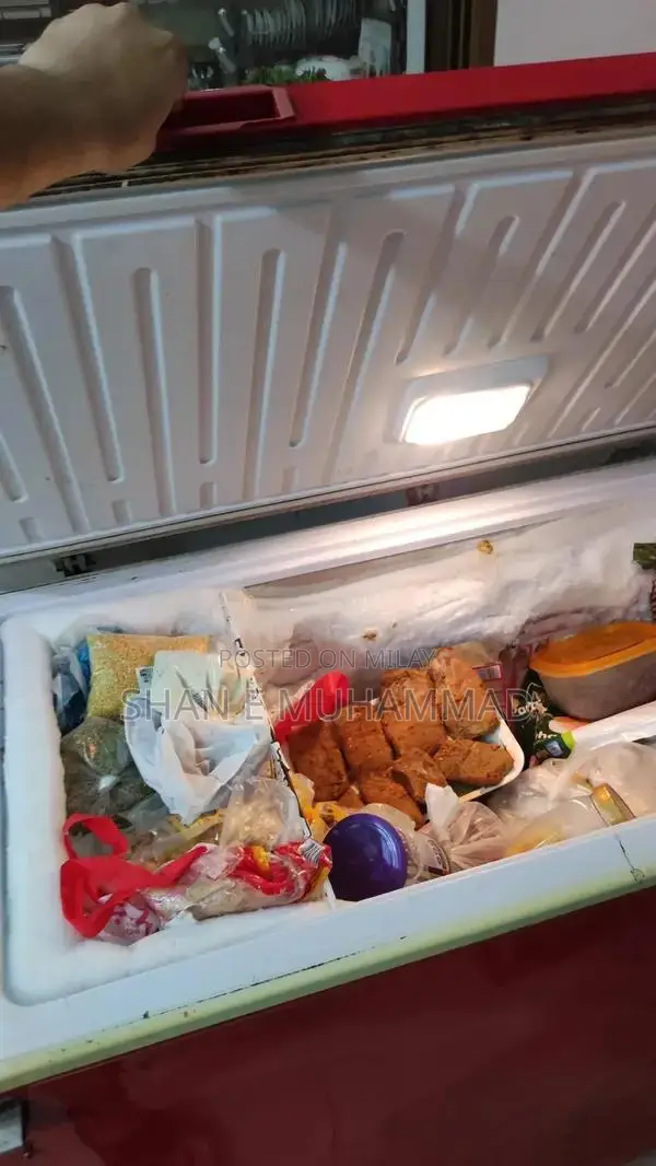 Large 12 Cubic Foot Commercial Refrigerator Freezer