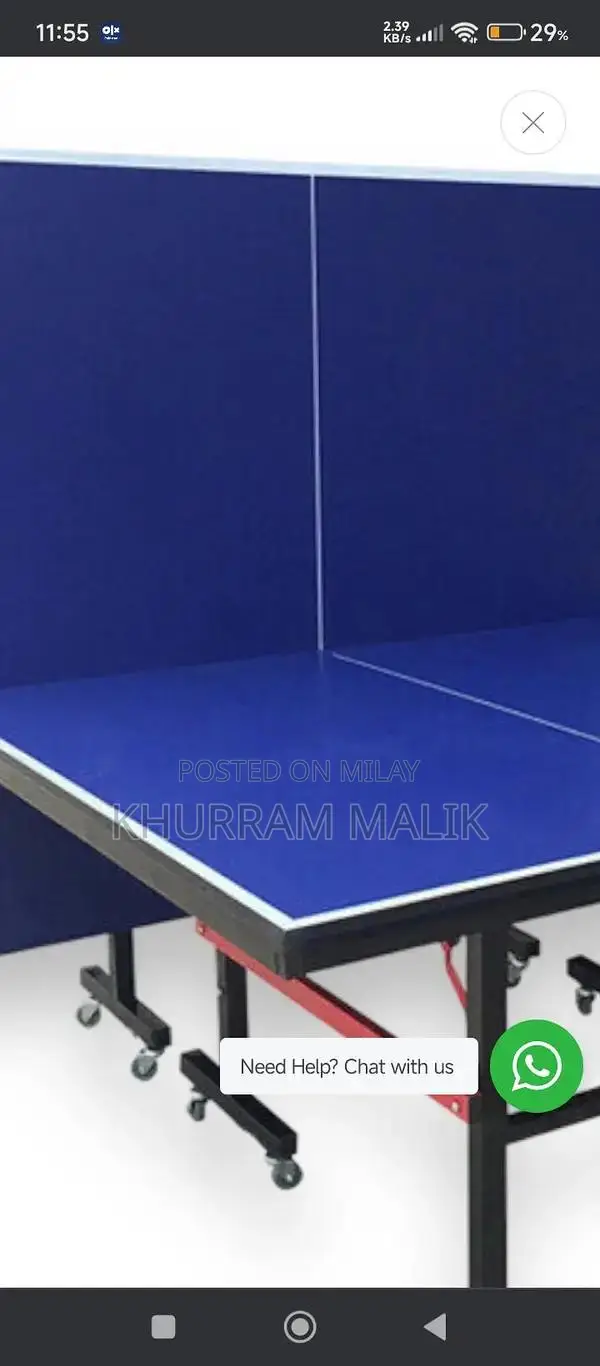 Professional Foldable Table Tennis Table with Mobility