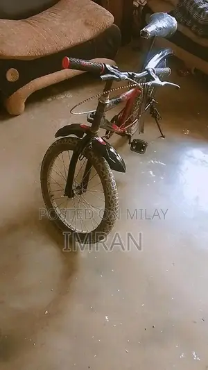 Photo - Used Bicycle in Okay Condition - Cycling Ready