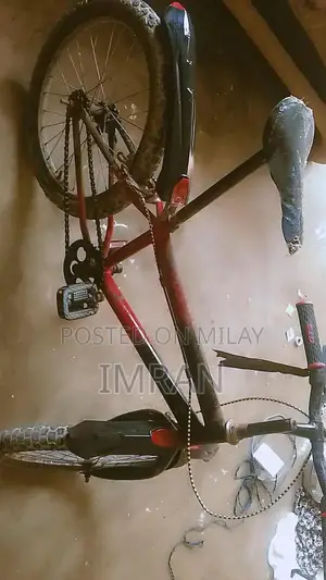 Used Bicycle in Okay Condition - Cycling Ready