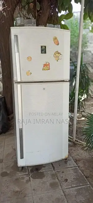 Used Full Size Home Refrigerator - Dawlance Appliance