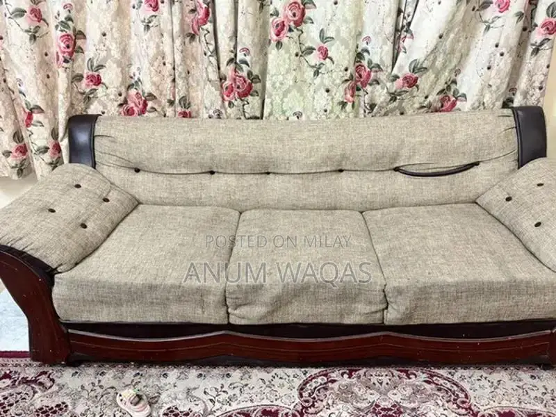 Comfortable Sofa with Good Foam and Replaceable Fabric