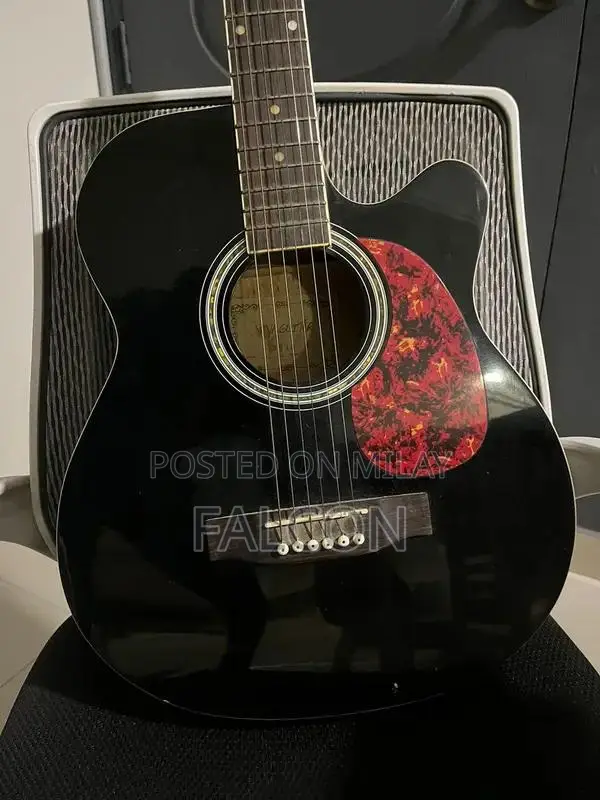Acoustic Guitar with Carrying Bag - Medium Size