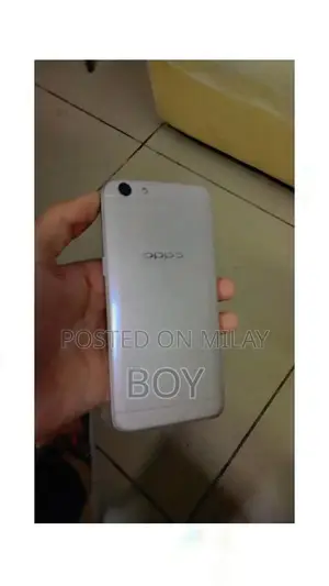 Budget Smartphone with Fingerprint Sensor and Camera