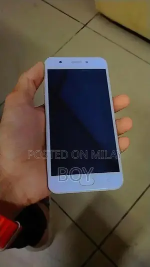 Budget Smartphone with Fingerprint Sensor and Camera