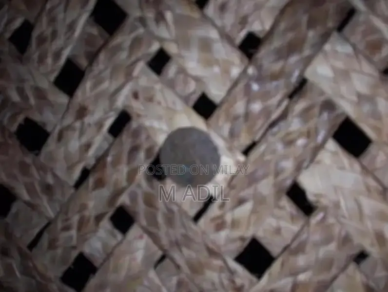 Antique East India Company Quarter Anna Coin - 200 Years Old