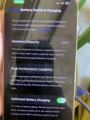 High-Performance Smartphone with Large Storage