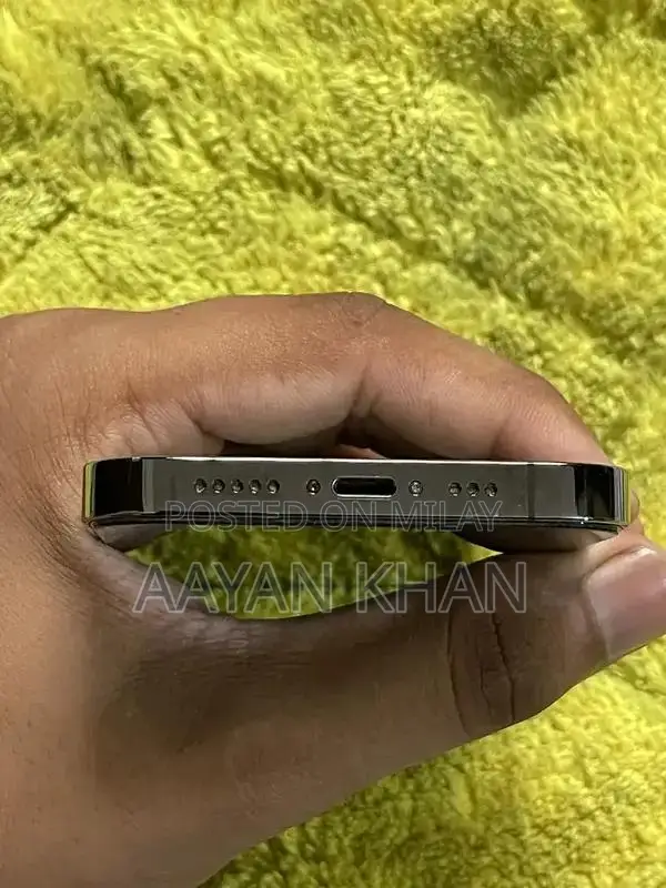 Apple Smartphone 256GB Gray Pro Model Factory Unlocked