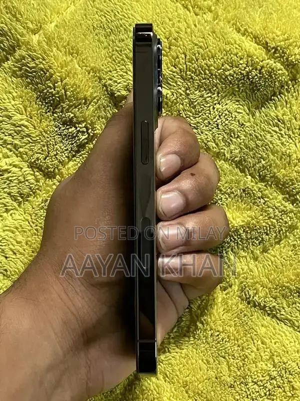 Apple Smartphone 256GB Gray Pro Model Factory Unlocked