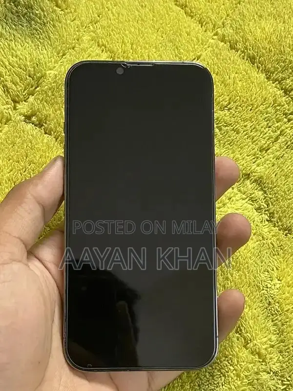 Apple Smartphone 256GB Gray Pro Model Factory Unlocked