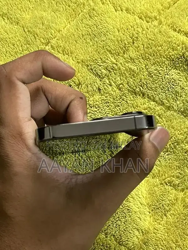 Apple Smartphone 256GB Gray Pro Model Factory Unlocked