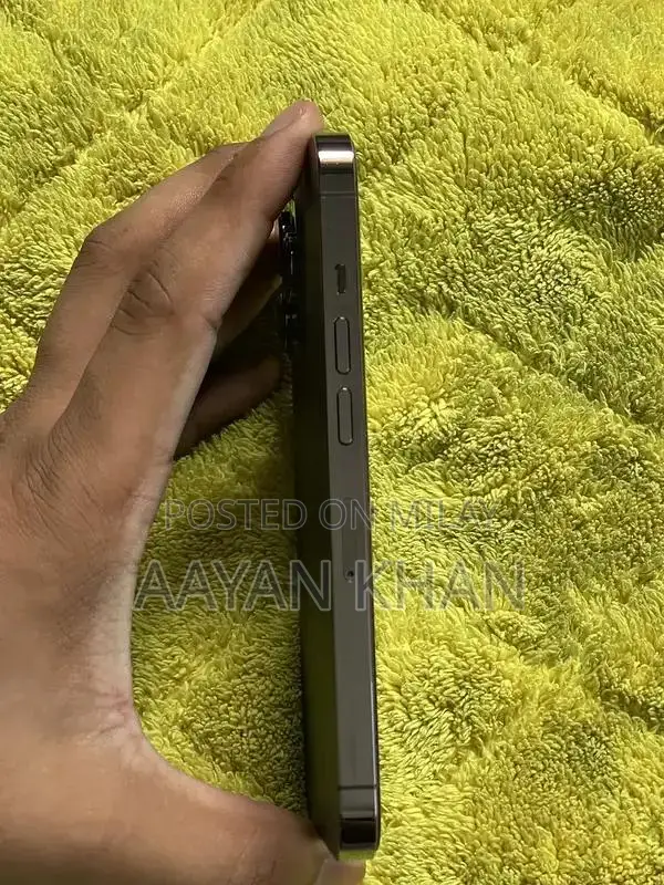 Apple Smartphone 256GB Gray Pro Model Factory Unlocked