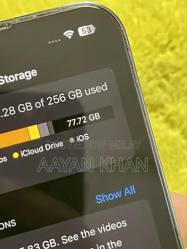 Apple Smartphone 256GB Gray Pro Model Factory Unlocked