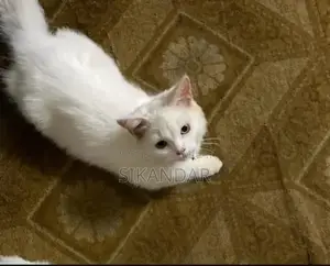 Cotid Feline Companion: Adorable Cat Plush Companion