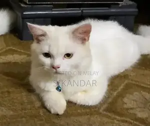 Cotid Feline Companion: Adorable Cat Plush Companion